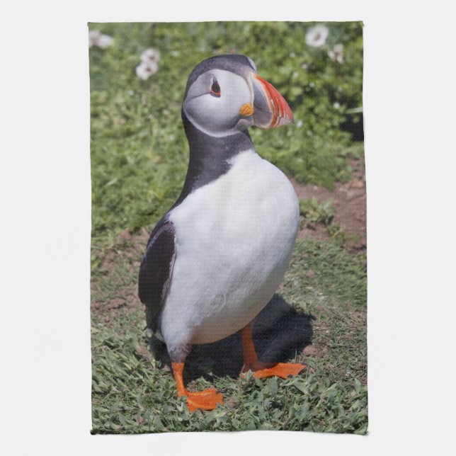 Lunka av puffin kökshandduk (Vertikal)