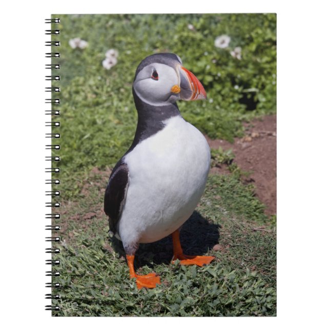 Lunnefågel Anteckningsbok (Framsidan)