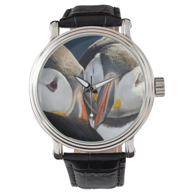 Lunnefågel, en pelagisk sjöfågel armbandsur (Framsida)
