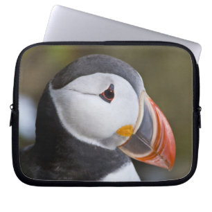 Lunnefågel, en pelagisk sjöfågel laptop sleeve