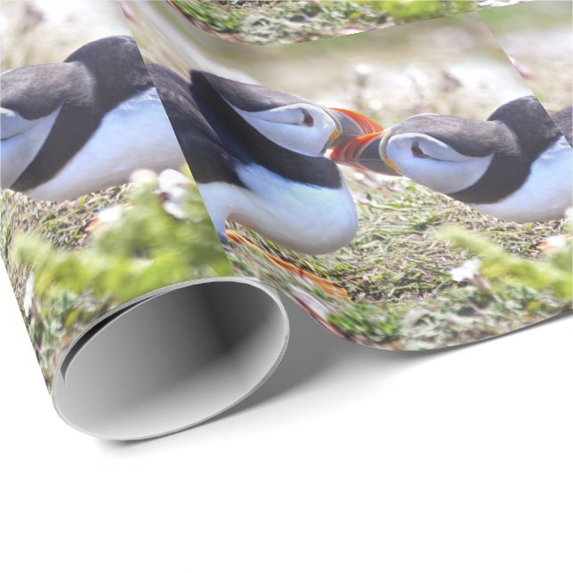 Lunnefåglar Kuvertpapper Presentpapper (Rullad Hörn)