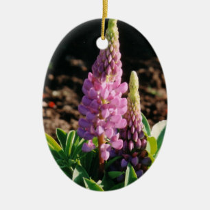 Lupin Ornament