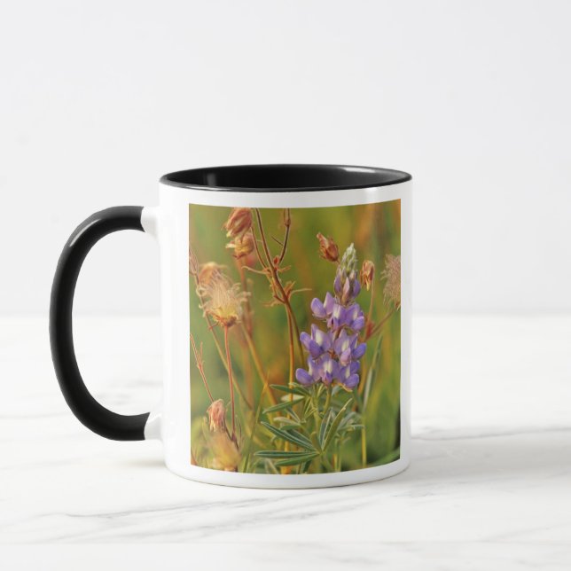 Lupin & präriesmulor vilda blommor i Montana 2 Mugg (Vänster)
