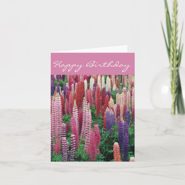 Lupinblommor D2 Födelsedagskort Kort (Framsida)
