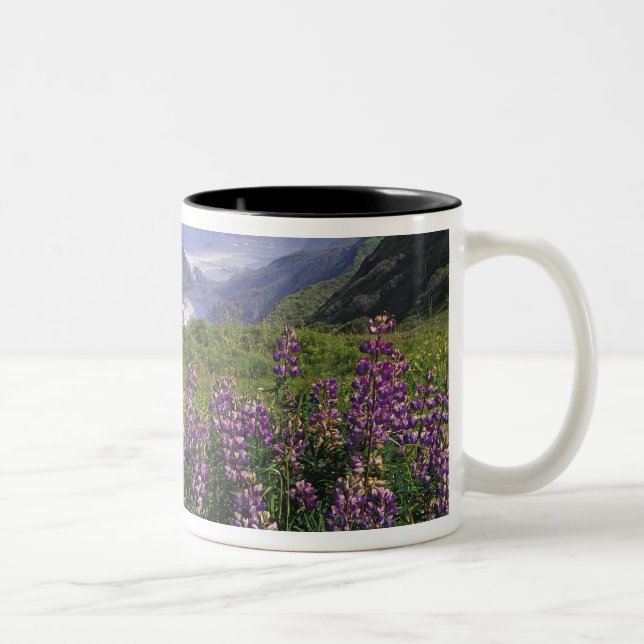 Lupinblommor och robust kustlinje längs Två-Tonad mugg (Höger)