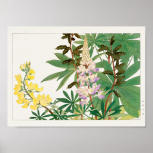 Lupine av Tanigami Konan Poster