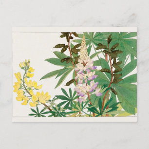 Lupine av Tanigami Konan Vykort