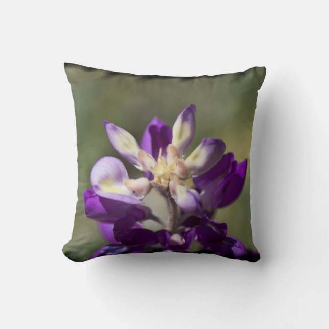 Lupine Black Kant Kudde (Framsida)