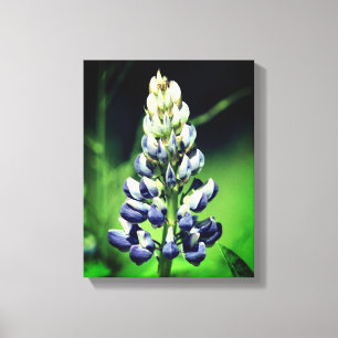 Lupine Flower med en Vilds Lila Canvastryck