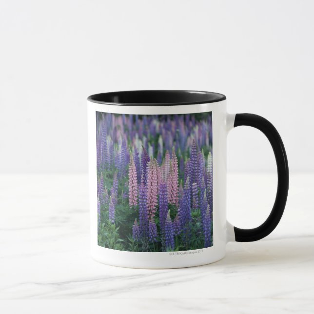 Lupine Mugg (Höger)