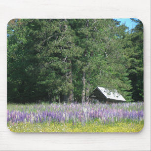 Lupine Musmatta
