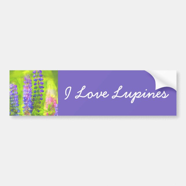 Lupine Painting - Originalfärgsbild Bildekal (Framsidan)