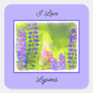 Lupine Painting - Originalfärgsbild Fyrkantigt Klistermärke