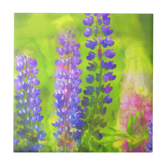 Lupine Painting - Originalfärgsbild Kakelplatta (Framsidan)