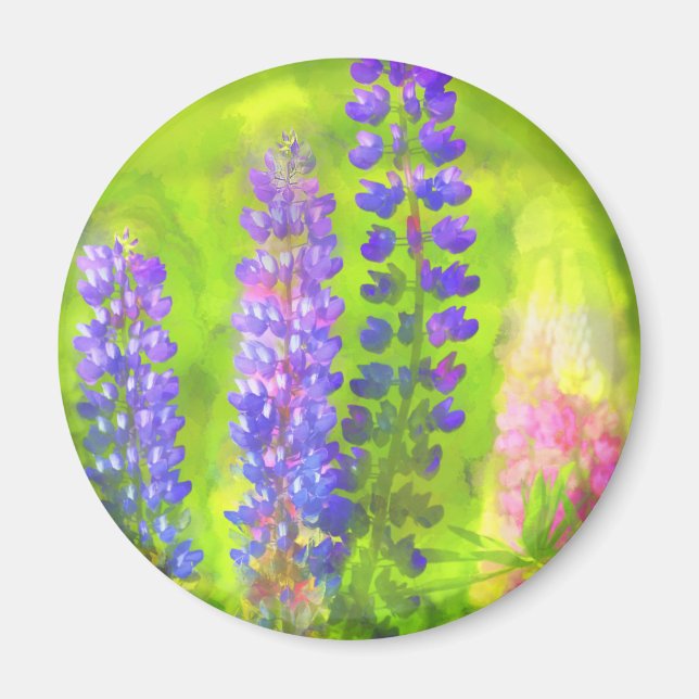 Lupine Painting - Originalfärgsbild Magnet (Framsidan)