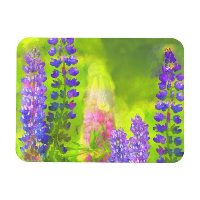 Lupine Painting - Originalfärgsbild Magnet (Horisontell)