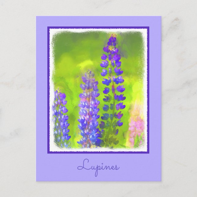 Lupine Painting - Originalfärgsbild Vykort (Framsida)