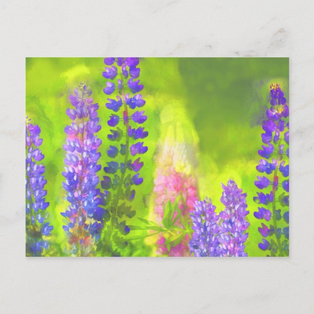 Lupine Painting - Originalfärgsbild Vykort (Framsida)