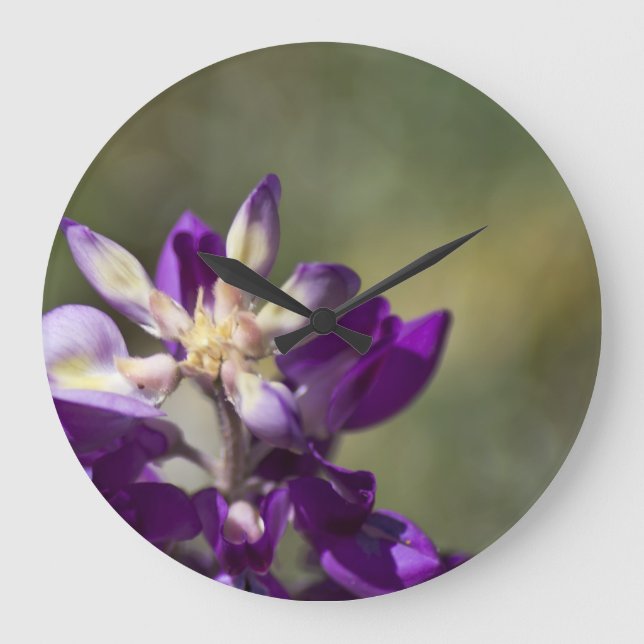 Lupine Stor Klocka (Framsida)