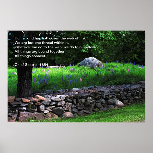 Lupine Wall - Chief Seattle Quote Poster (Framsidan)