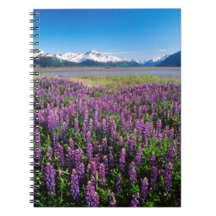 Lupiner i blom Kenai Mountains, Alaska Anteckningsbok