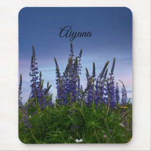 Lupiner musmatta
