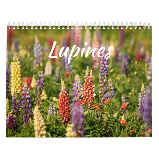 Lupinernas värld kalender (Omslag)