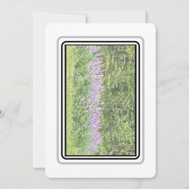 Lupines - Big Bay Rd 2023 Notecards Anteckningskort (Framsida)