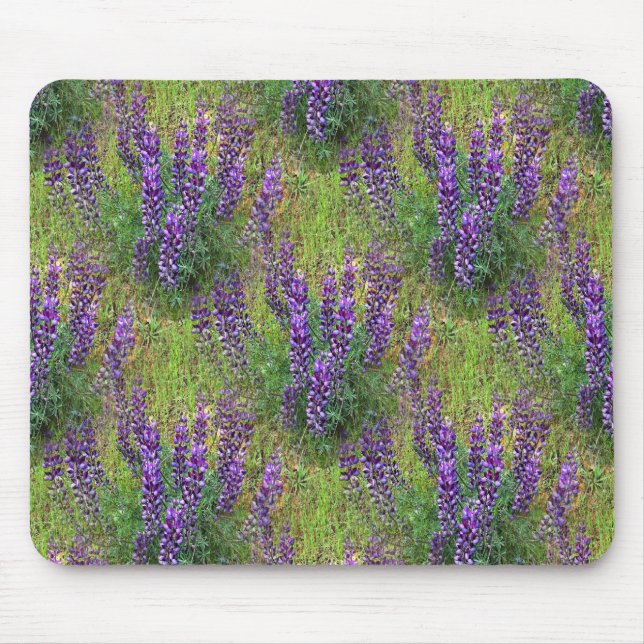 Lupines Galore.. Musmatta (Framsidan)