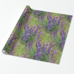 Lupines Galore... Presentpapper