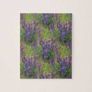 Lupines Galore.. Pussel