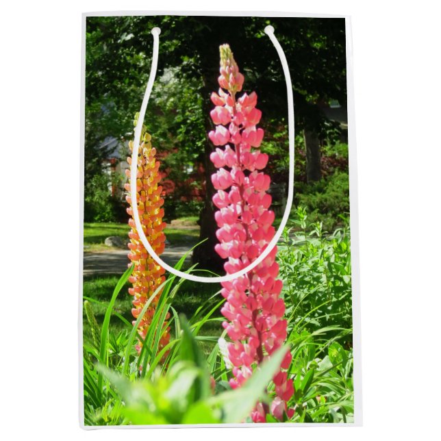 Lupines in a Cottage Garden - Martha's Vineyard (Framsidan)