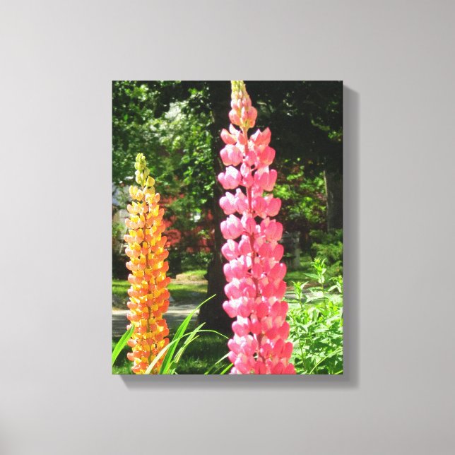 Lupines in a Cottage Garden - Martha's Vineyard Canvastryck (Framsida)