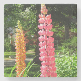 Lupines in a Cottage Garden - Martha's Vineyard Stenunderlägg