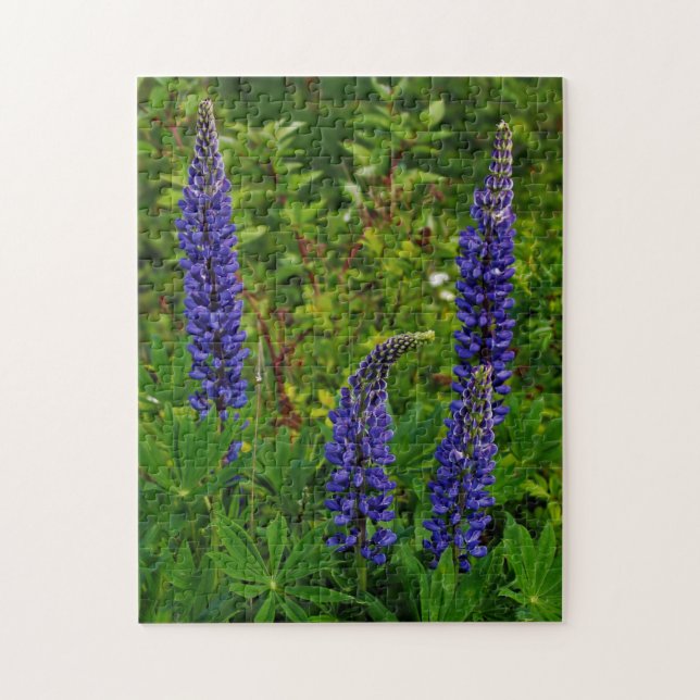 Lupines Pussel (Vertikal)