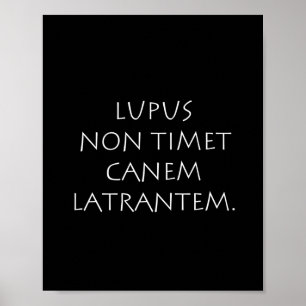 Lupus non-timet canem latrantem poster