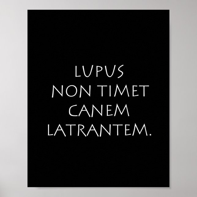 Lupus non-timet canem latrantem poster (Framsidan)