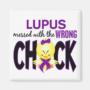 Lupus röra med den fla chicken magnet