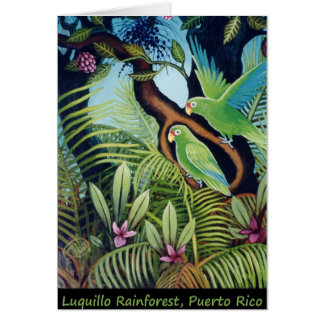 Luquillo papegojor hälsningskort