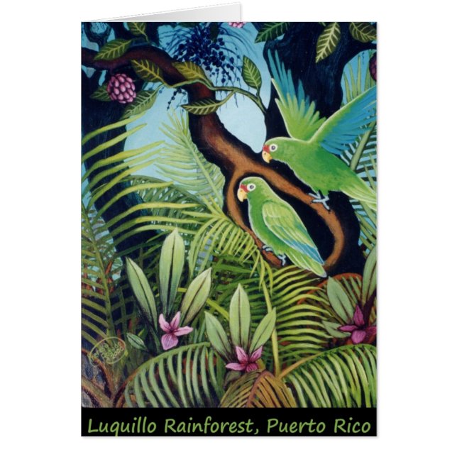 Luquillo papegojor hälsningskort (Framsidan)