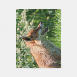 lura filten, det rävaktiga kast, filt för