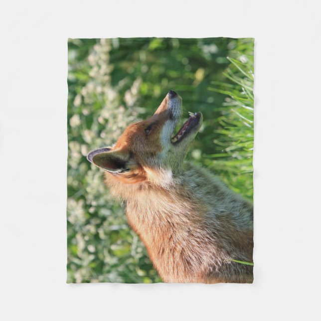 lura filten, det rävaktiga kast, filt för (Framsidan)