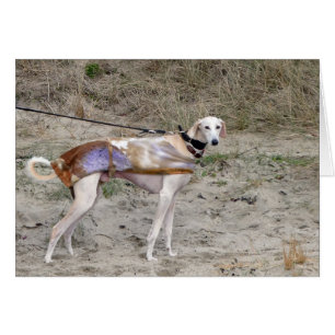 Lurcher-fotokort OBS Kort