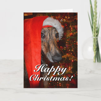 Lurcher Greyhound-juljul, funny Santa Hund Lurcher Helgkort