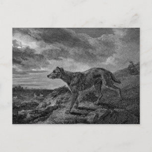 Lurcher Hundar Vintage Teckning Vykort