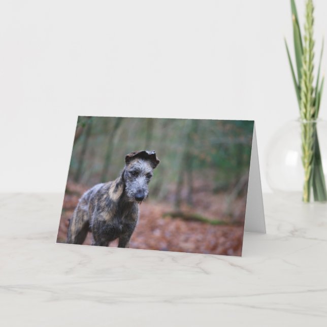 Lurcher i skogsmarkhälsningkort kort (Framsida)