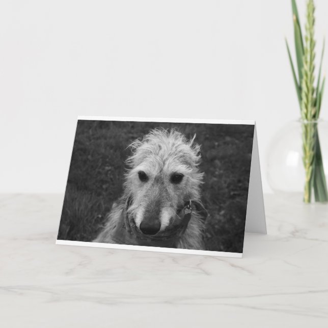 Lurcher Kort (Framsida)