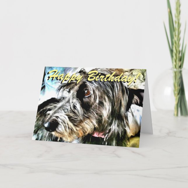 Lurcherfödelsedagkort Kort (Framsida)