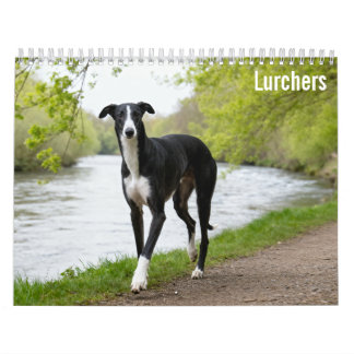 Lurchers 2027 Väggkalender Kalender