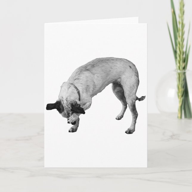 Lurig tassar, varma önskningar kort (Framsida)